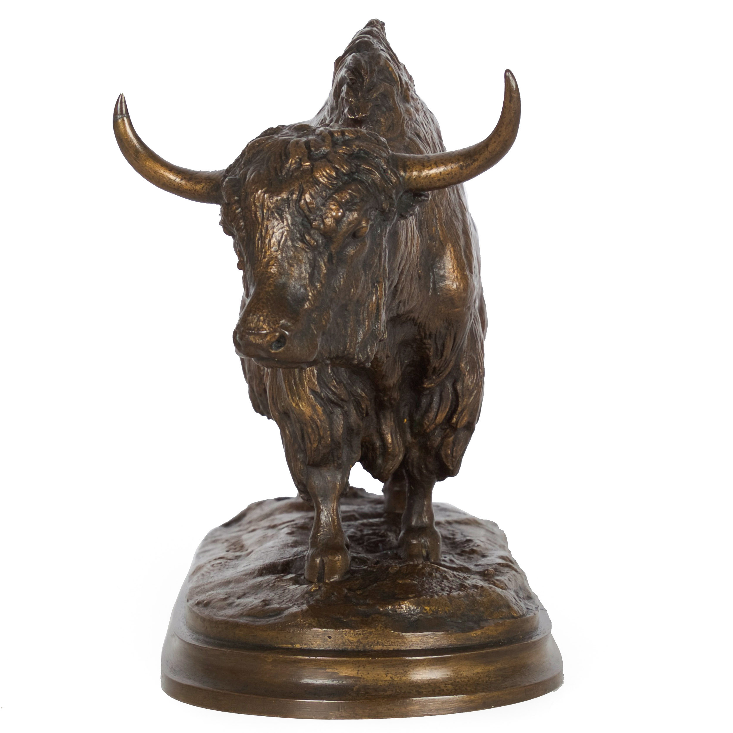 Bison Bronze Sculpture