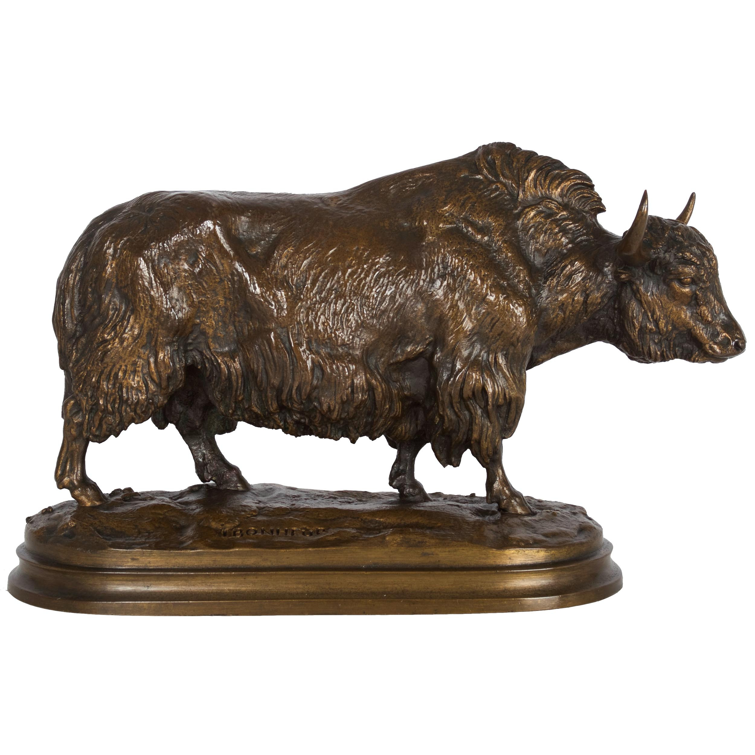 Bison Bronze Sculpture