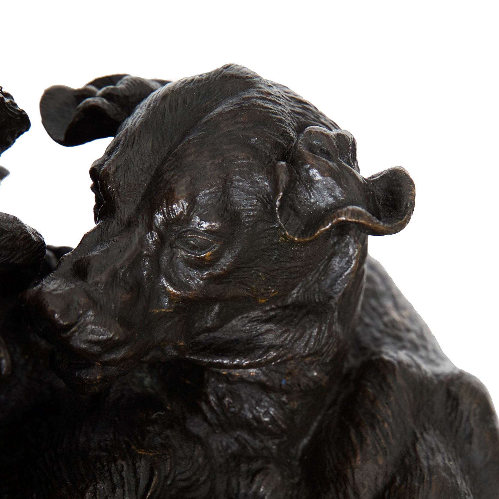 Wild Boar Bronze Statue