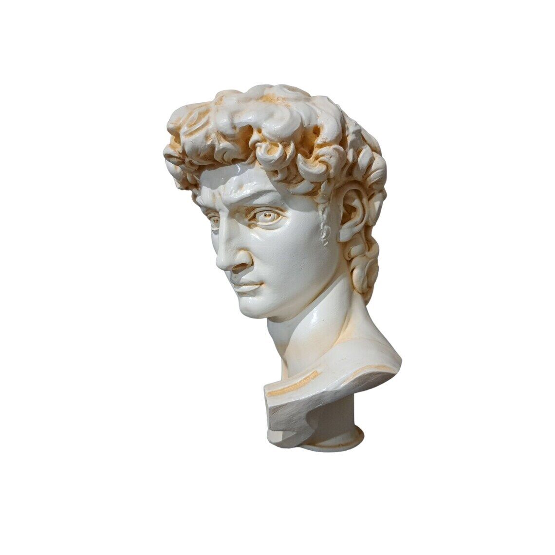 Michelangelo Bust of David
