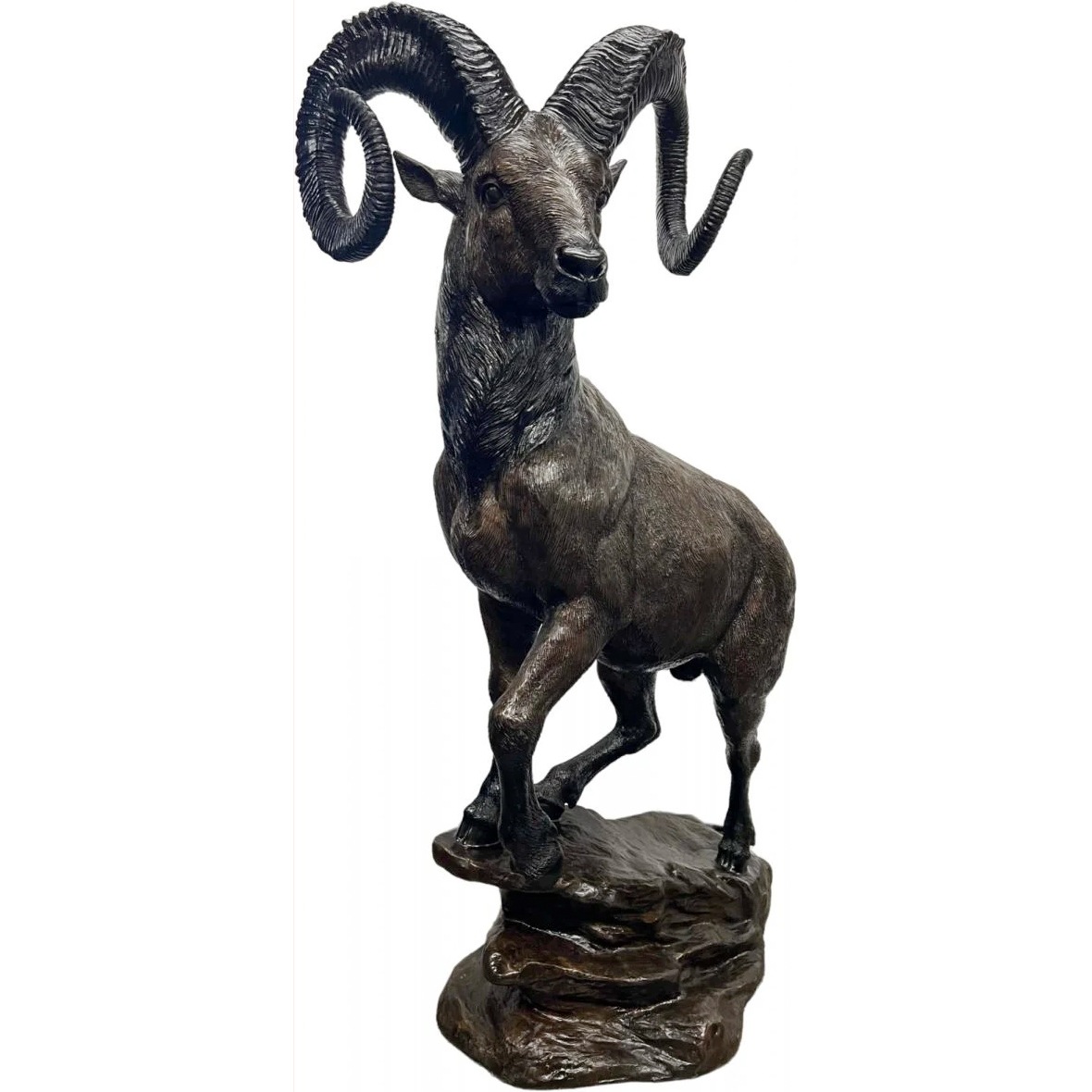 Big Horn Sheep Sculpture