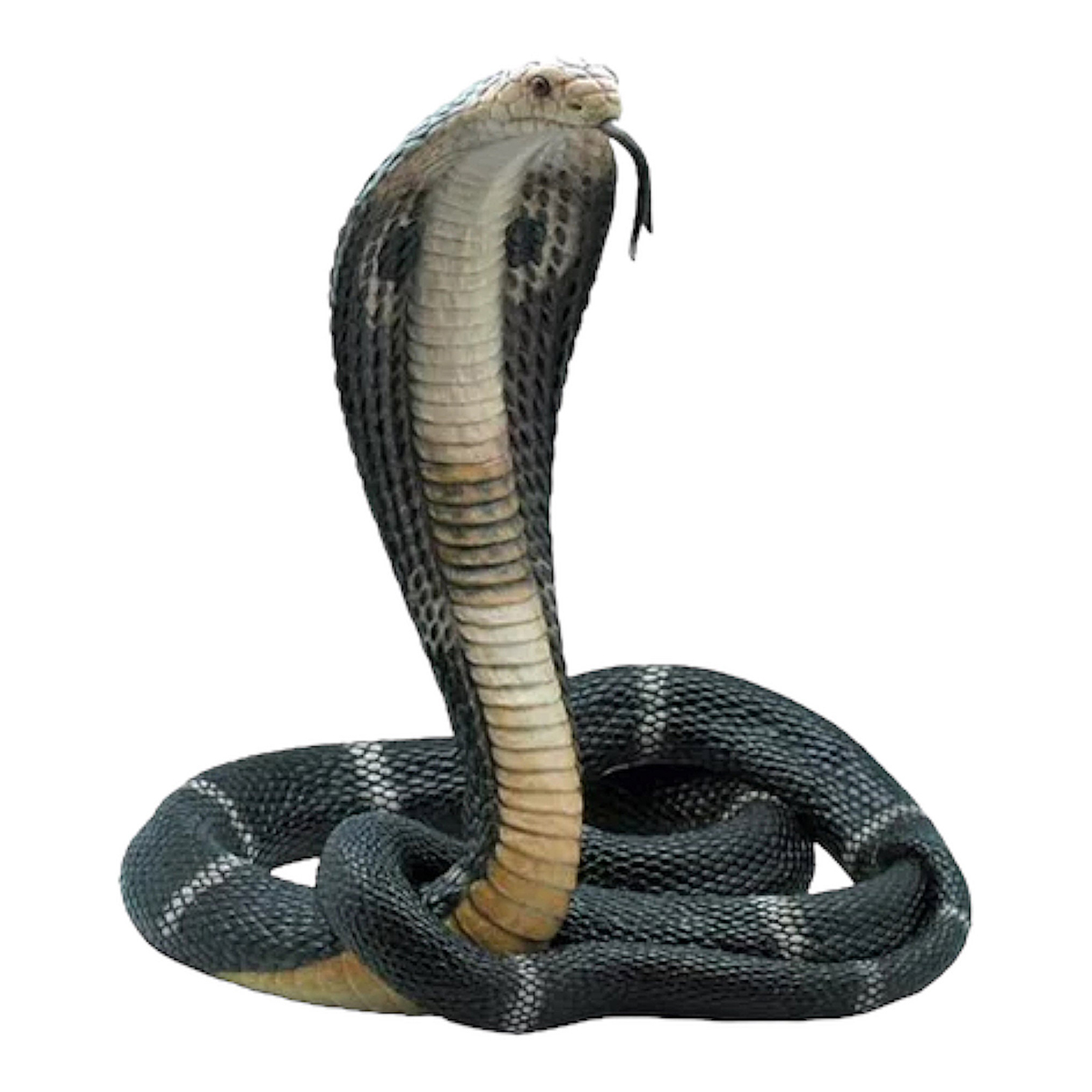 cobra snake statue