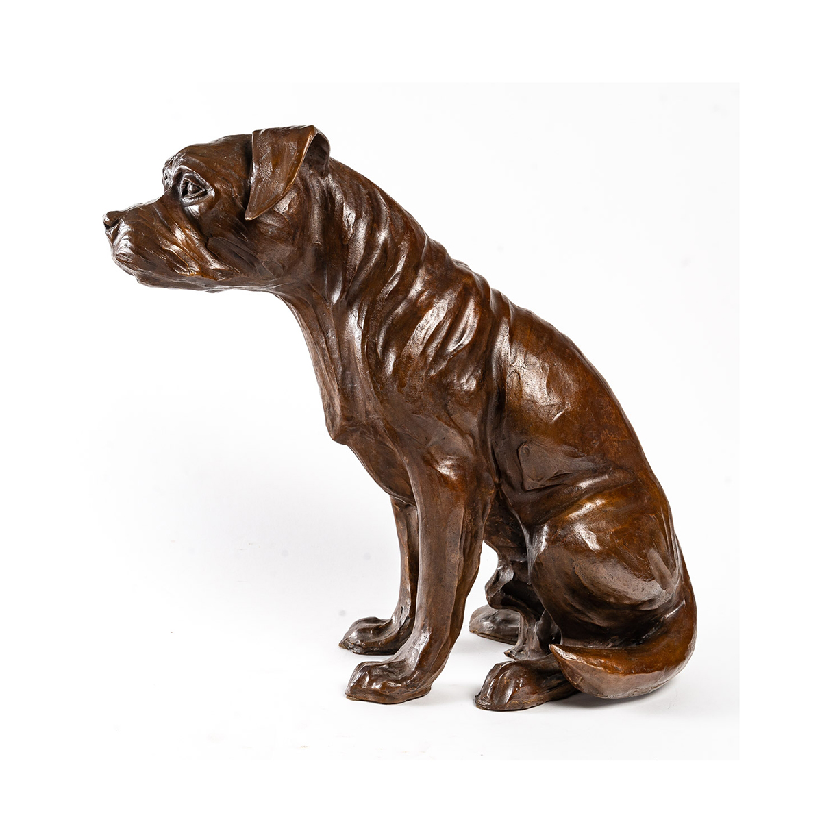 Border Terrier Bronze Sculpture