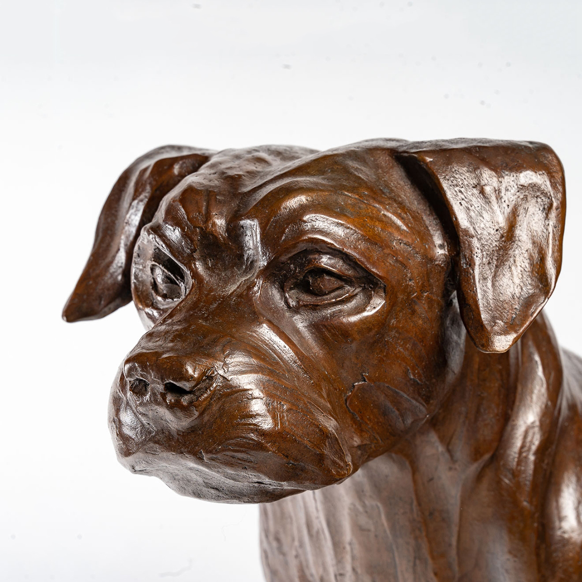 Border Terrier Bronze Sculpture