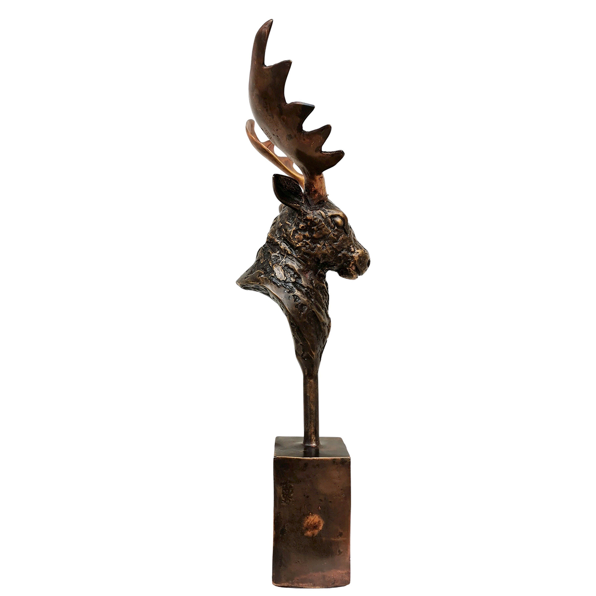 Moose Head Sculpture