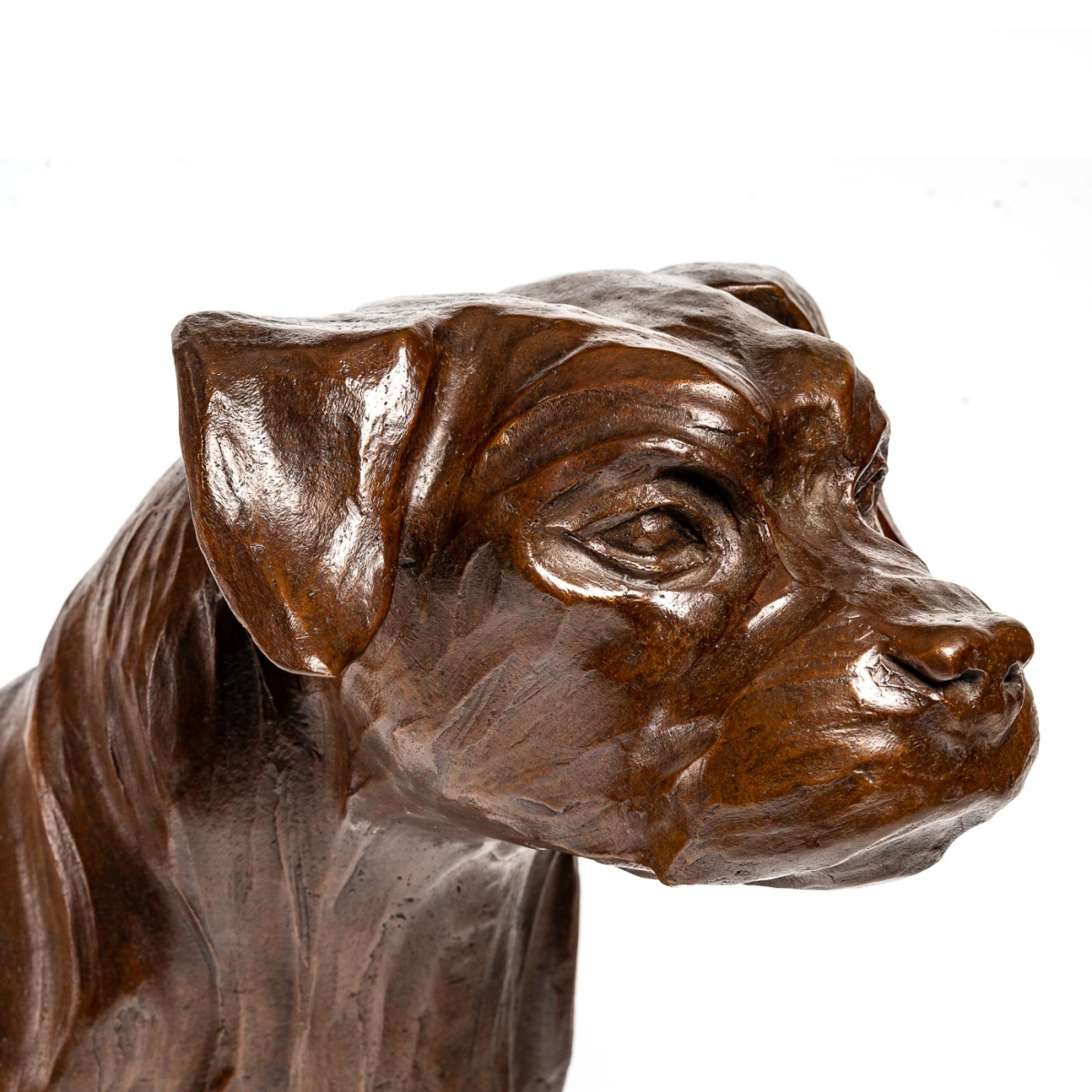 Border Terrier Bronze Sculpture