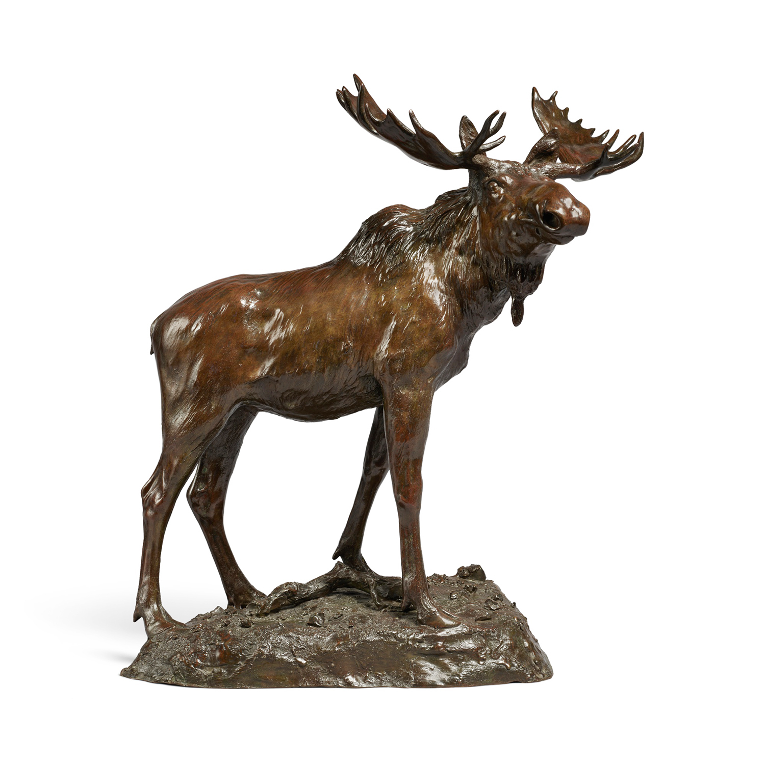 Bronze Moose Statue for Sale