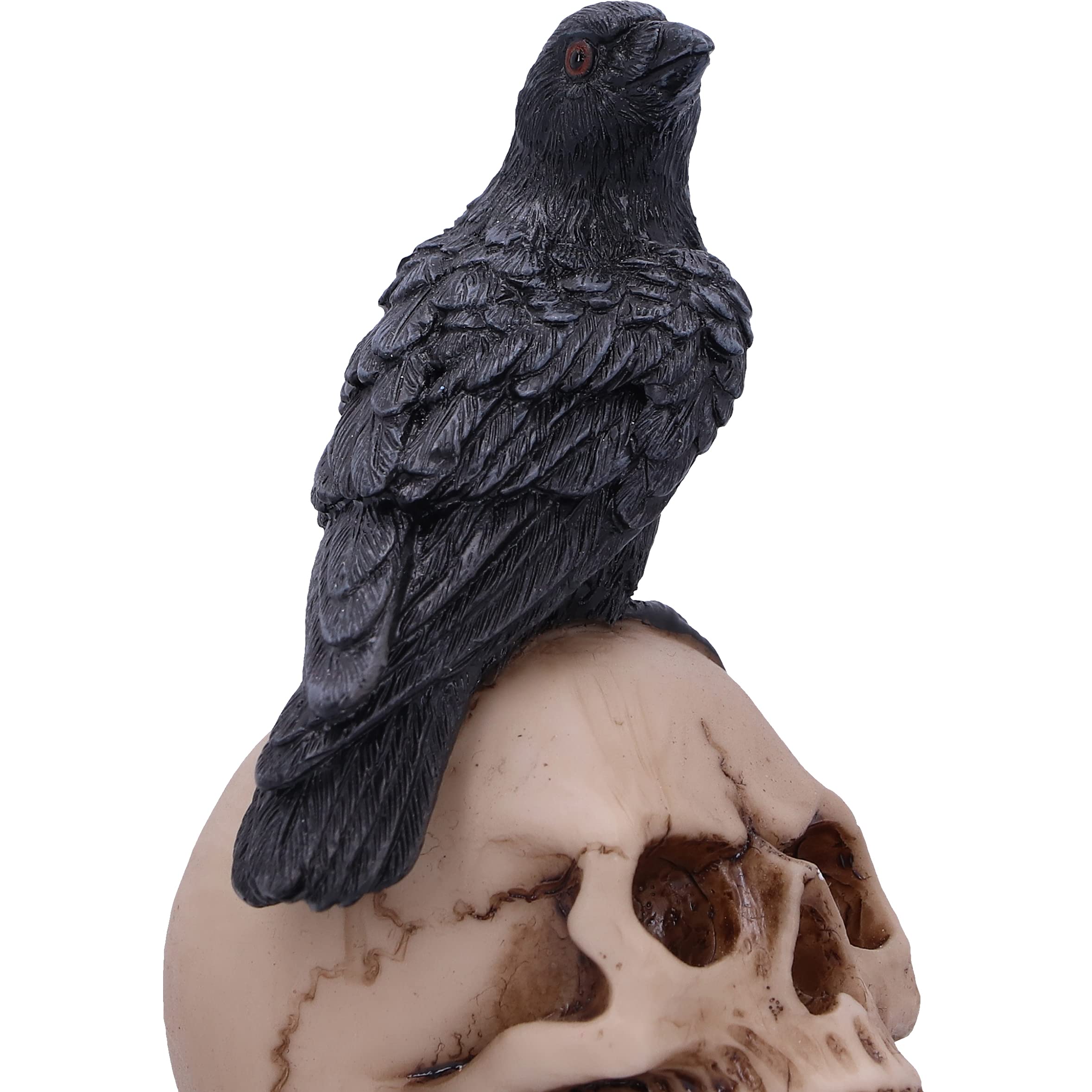 Raven Skull Statue
