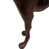 bronze dog statue