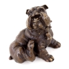 Bulldog Statue for sale