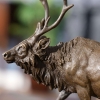 bronze walking deer statue