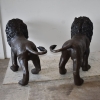 copper lion statue