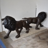 copper lion sculpt