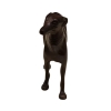bronze dog figurine