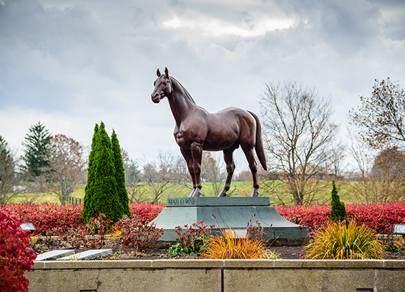 Kentucky-Horse-Park_WEB_James-Shambhu-photo.jpg