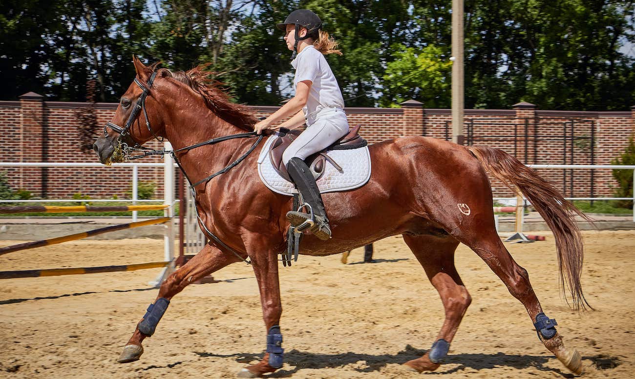 Do horses like to be ridden?